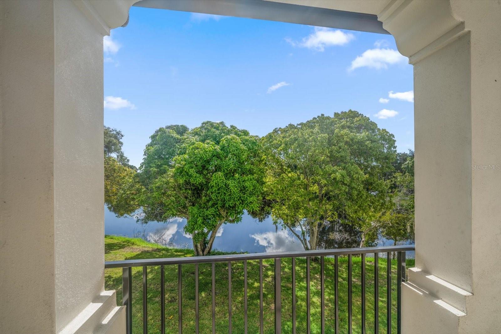 PINELLAS GROVES - Residential