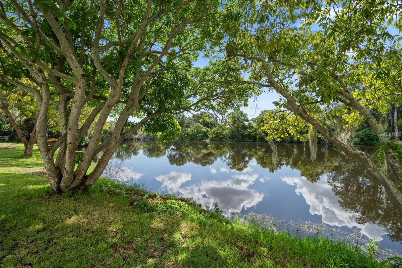 PINELLAS GROVES - Residential