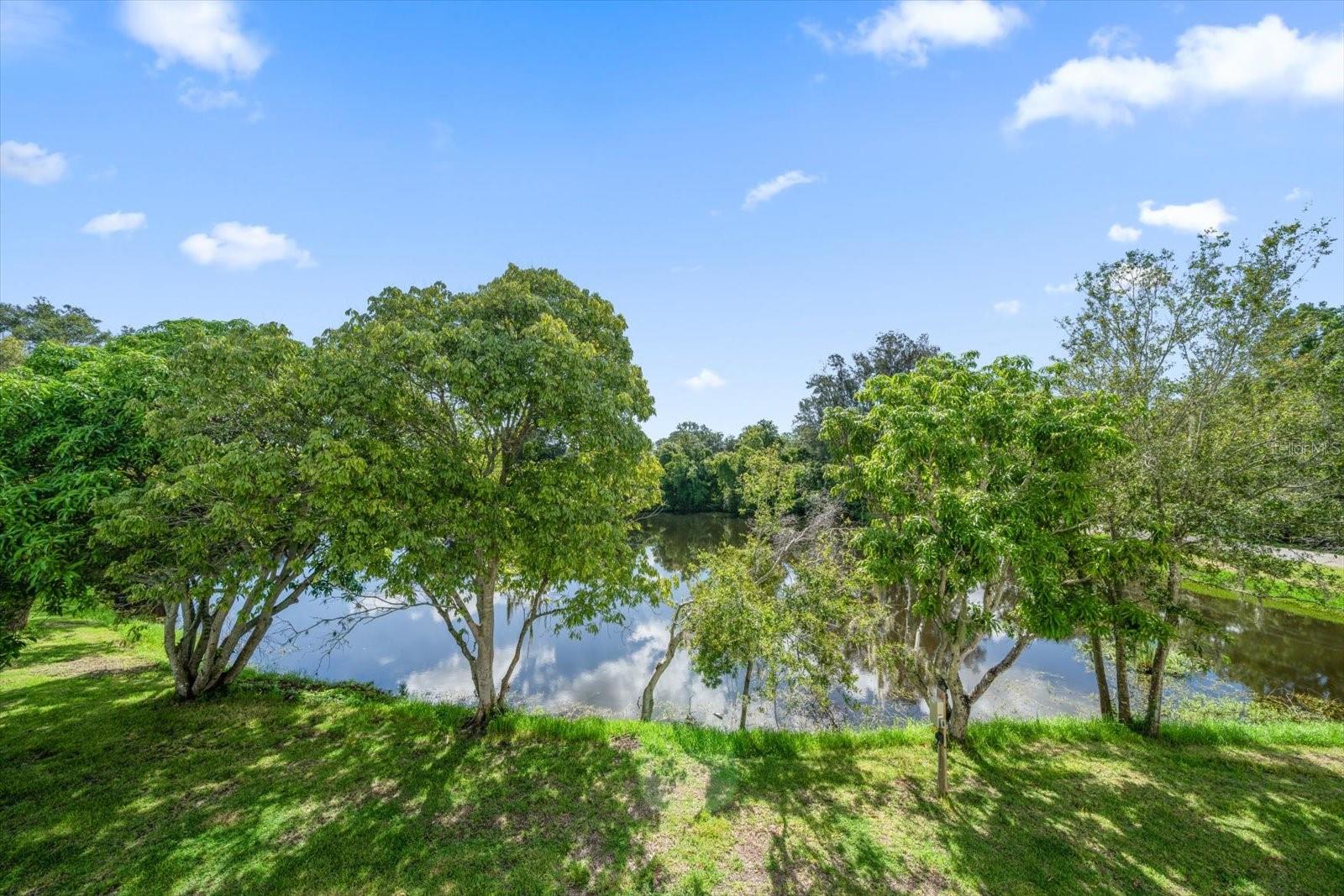 PINELLAS GROVES - Residential