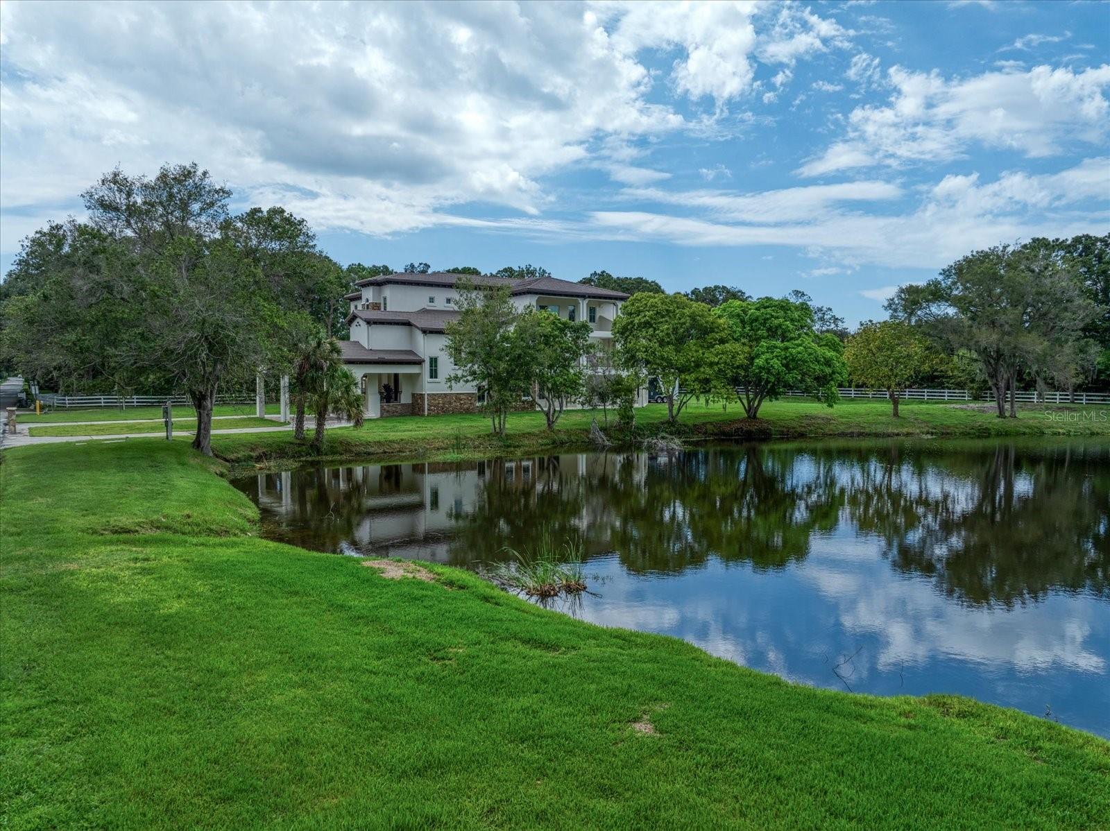 PINELLAS GROVES - Residential