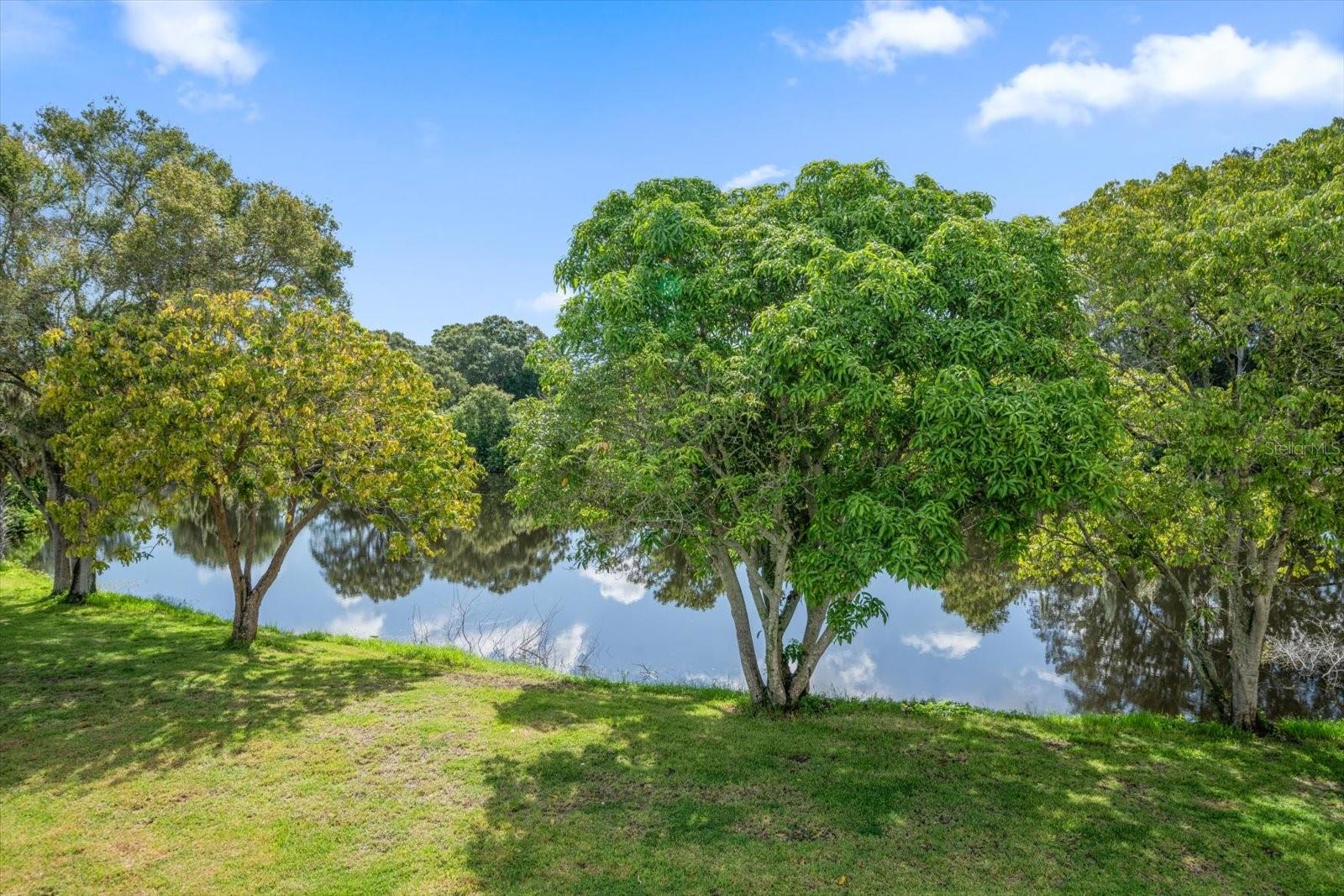 PINELLAS GROVES - Residential