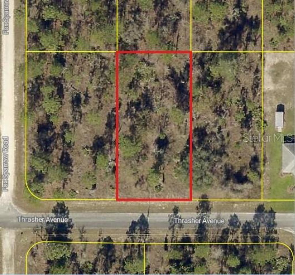 Photo of 0 Thrasher Avenue, Weeki Wachee, FL 34614 (MLS # W7883768)