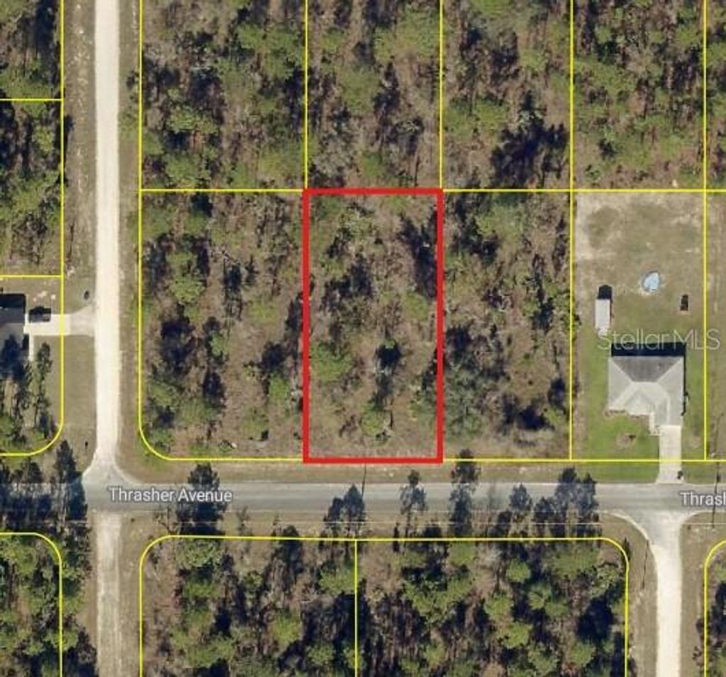 Photo of 0 Thrasher Avenue, Weeki Wachee, FL 34614 (MLS # W7883768)