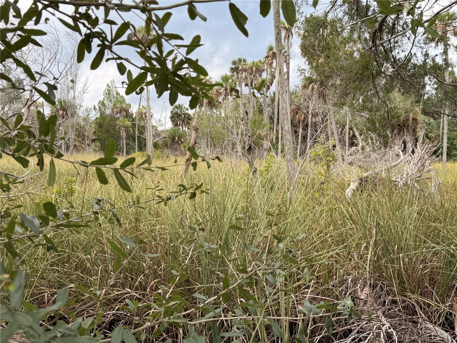 12039 W FORT ISLAND TRAIL