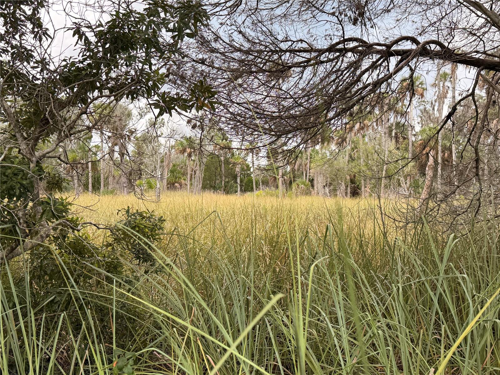 12039 W FORT ISLAND TRAIL