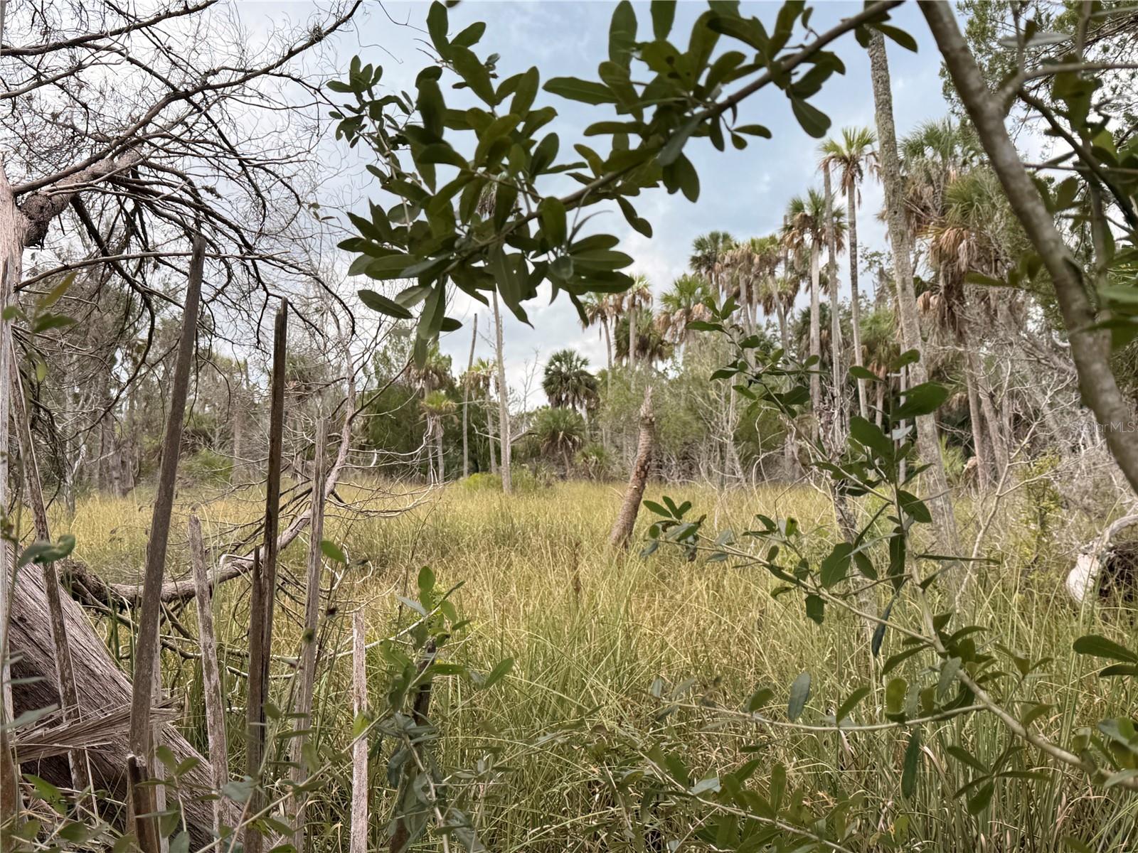 12039 W FORT ISLAND TRAIL
