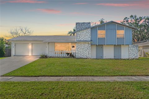 A home in TAMPA