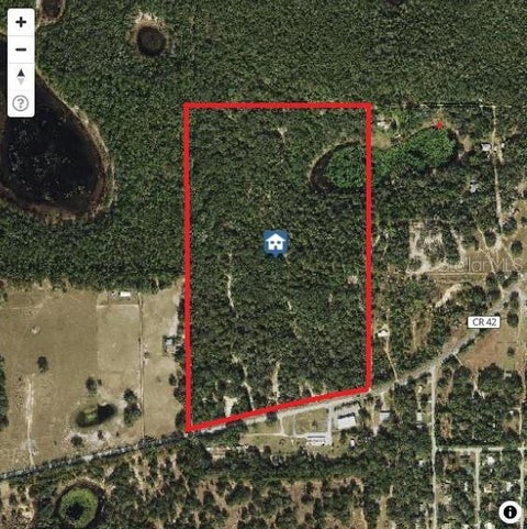 Photo of 24601 SE Highway 42, Umatilla, FL 32784 (MLS # O6423926)