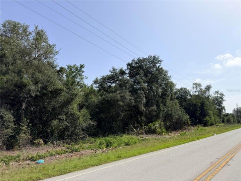 Tiny photo for 24601 SE Highway 42, Umatilla, FL 32784 (MLS # O6423926)