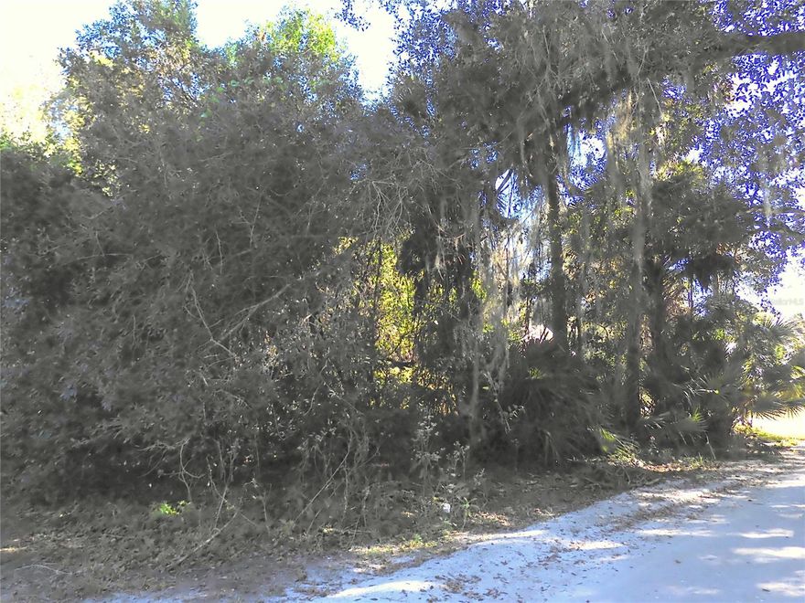 Build your dream home on this beautiful treed lot on B Street close to the New Smyrna Beach Middle School & High School. Located just off Myrtle Avenue & Hwy. 44, this lot is situated very close to historic Canal Street with lots of shops & restaurants, art shows & car shows.  City water & electricity available but septic system will need to be installed for sewer. Getting prices at this time from septic companies. Flood Zone X500 which does not require flood insurance.; Cleared: No ;Water: Available at Site ;Water: City