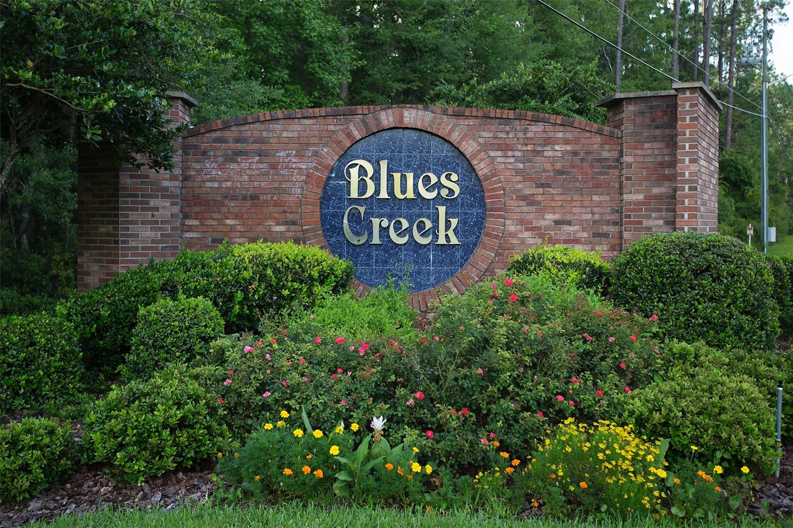 BLUES CREEK - Residential Lease