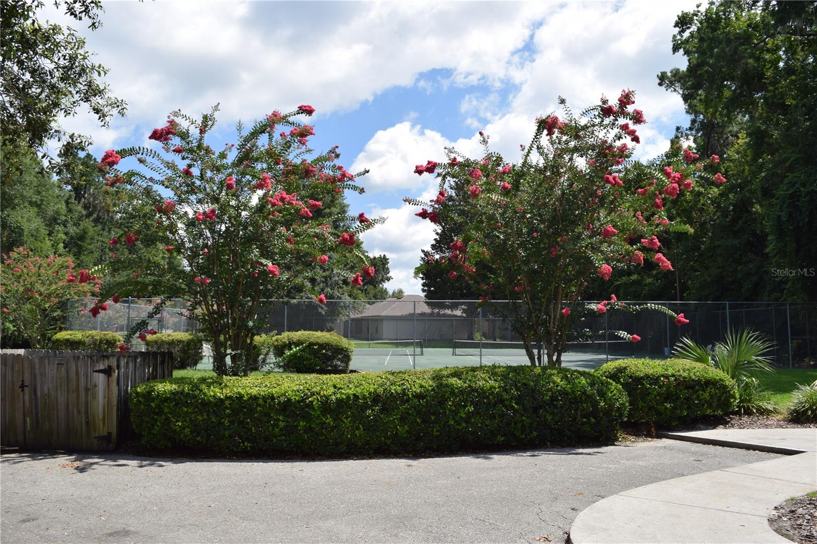 BLUES CREEK - Residential Lease