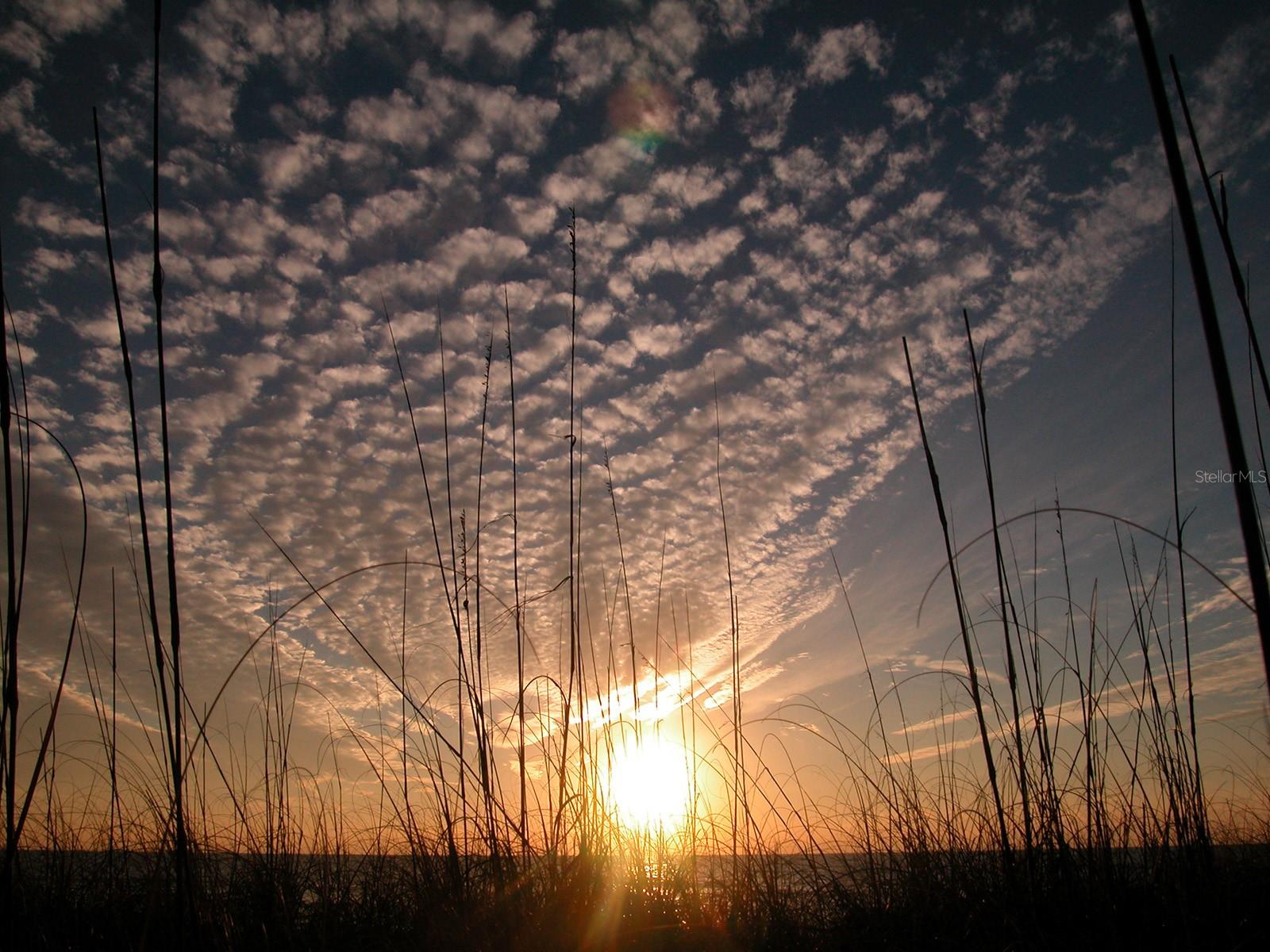 MARINA BAY - Residential
