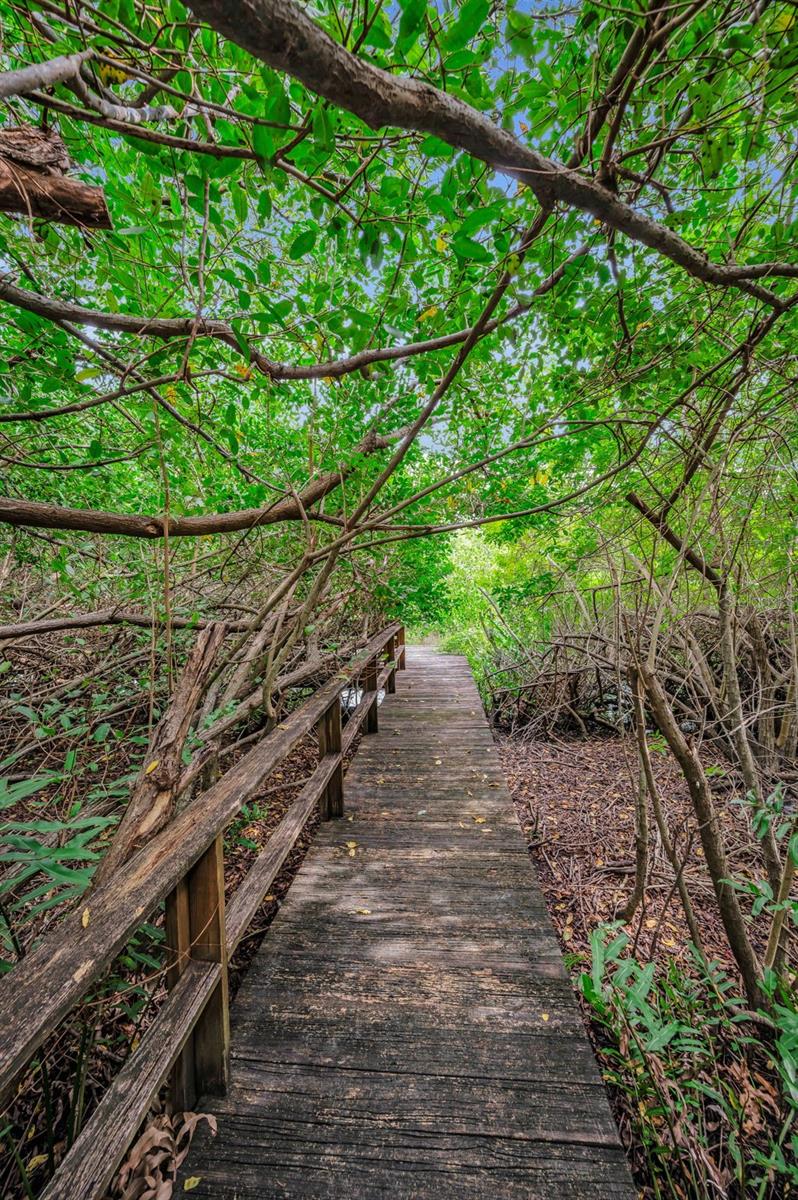 BAYOU CLUB ESTATES TR 2 PH 3 - Residential