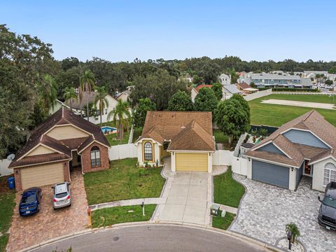 A home in TAMPA