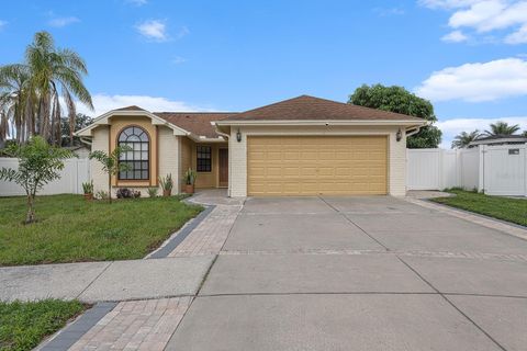 A home in TAMPA