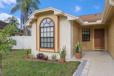 A home in TAMPA