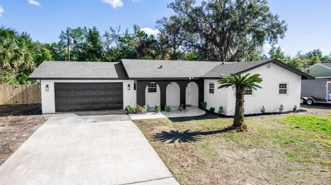 A home in DELTONA