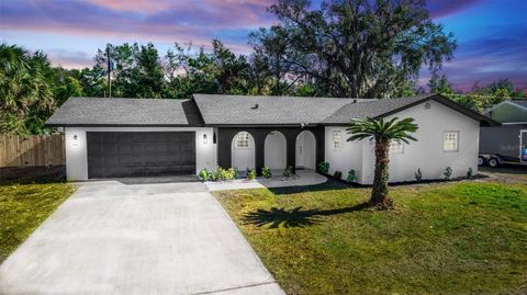 A home in DELTONA