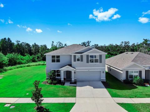 Photo of 3293 Silver Date Drive, Wimauma, FL 33598 (MLS # L4956234)