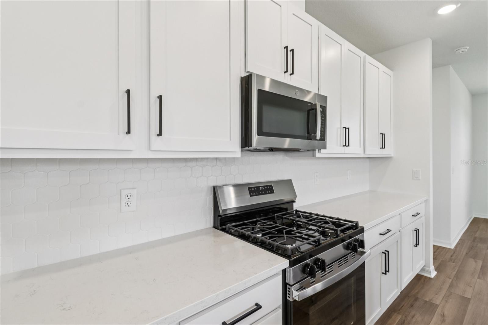 ARDISIA PARK - Residential