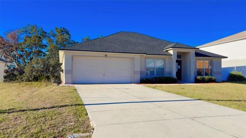 Photo of 313 Drum Lane, Kissimmee, FL 34759 (MLS # O6368994)