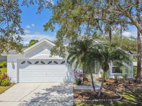 A home in WESLEY CHAPEL