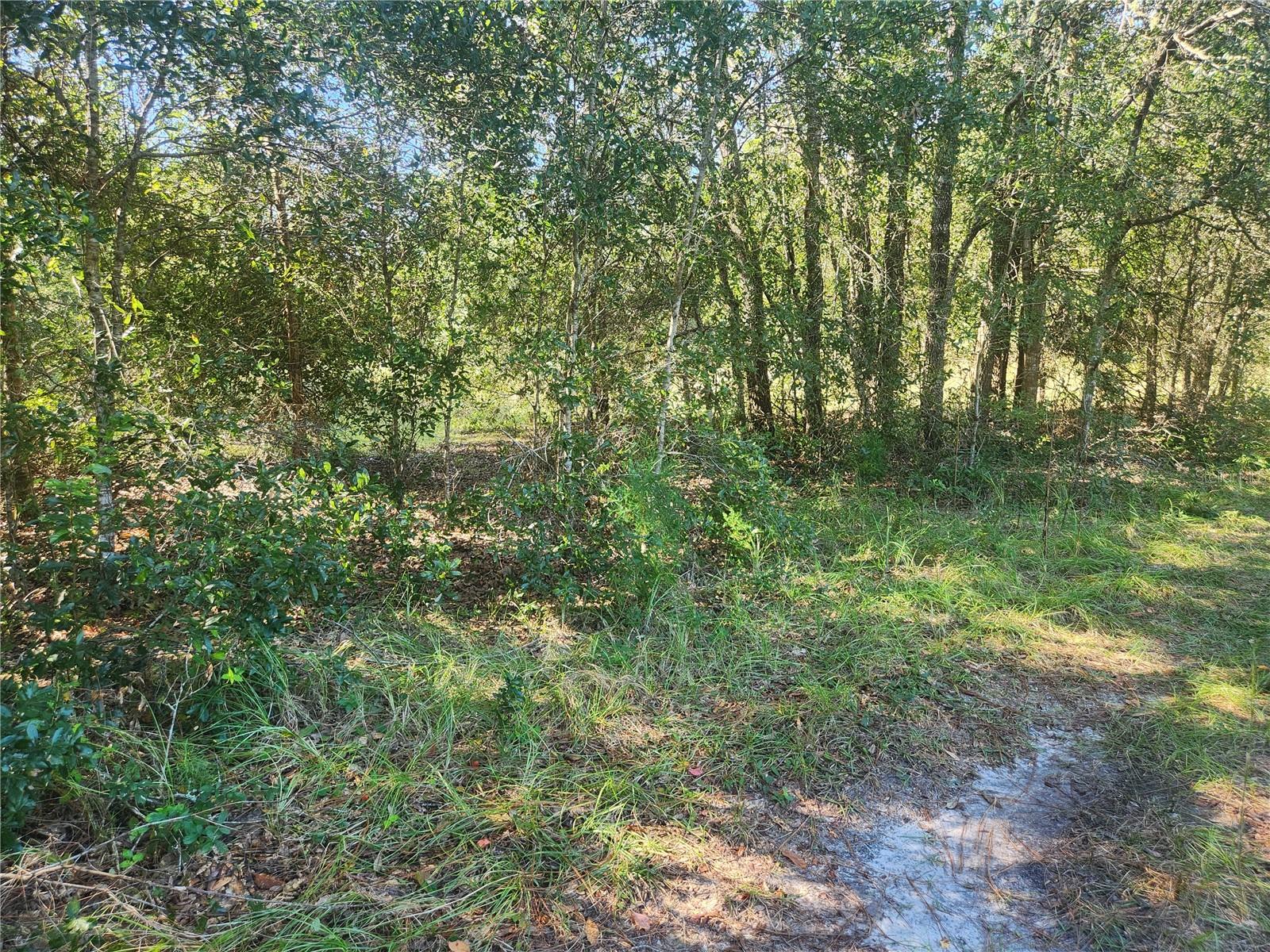 INVERNESS ACRES UNIT 02 AKA INVERNESS VILLAGE - Land