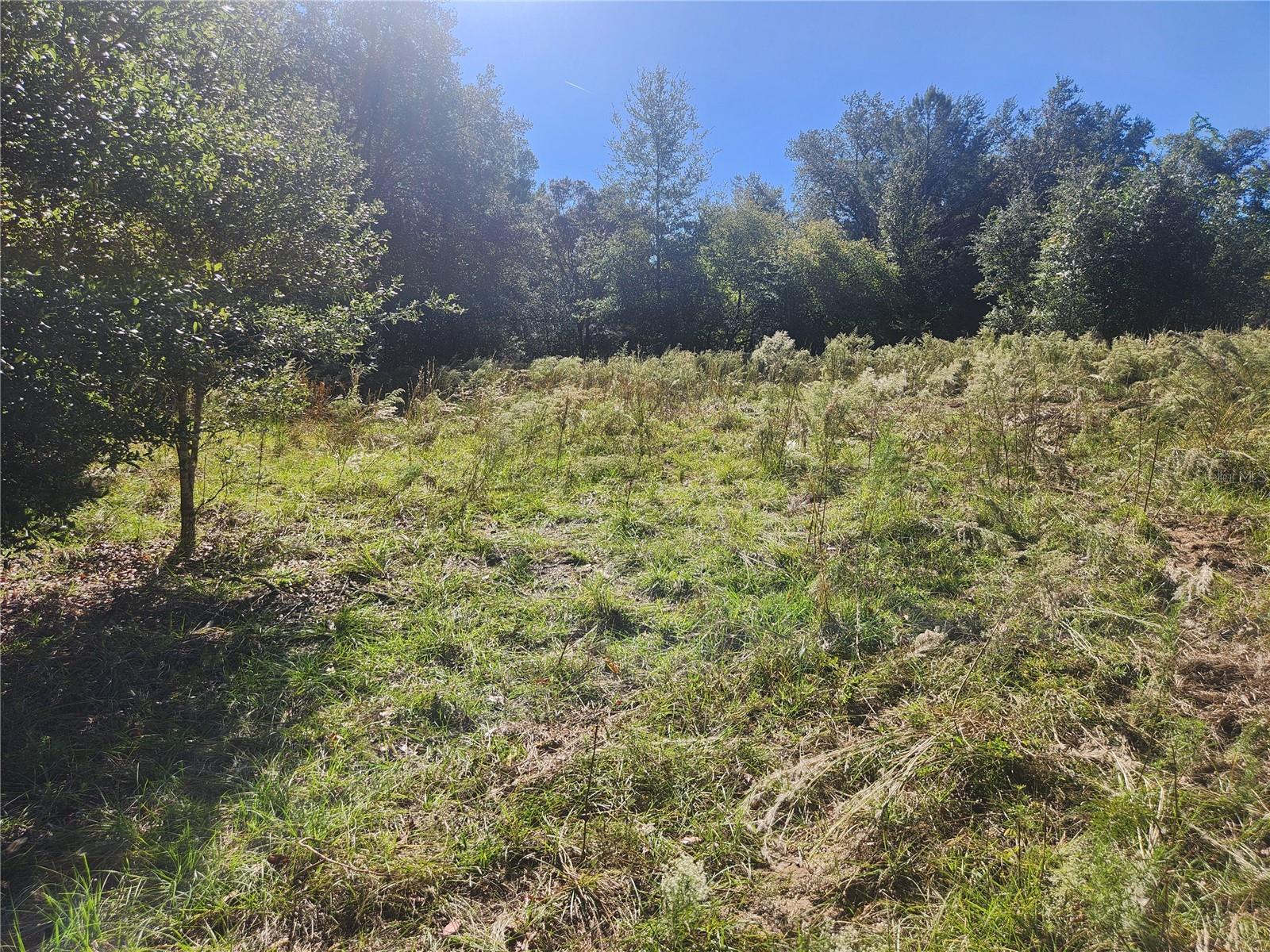 2307 GARFIELD STREET