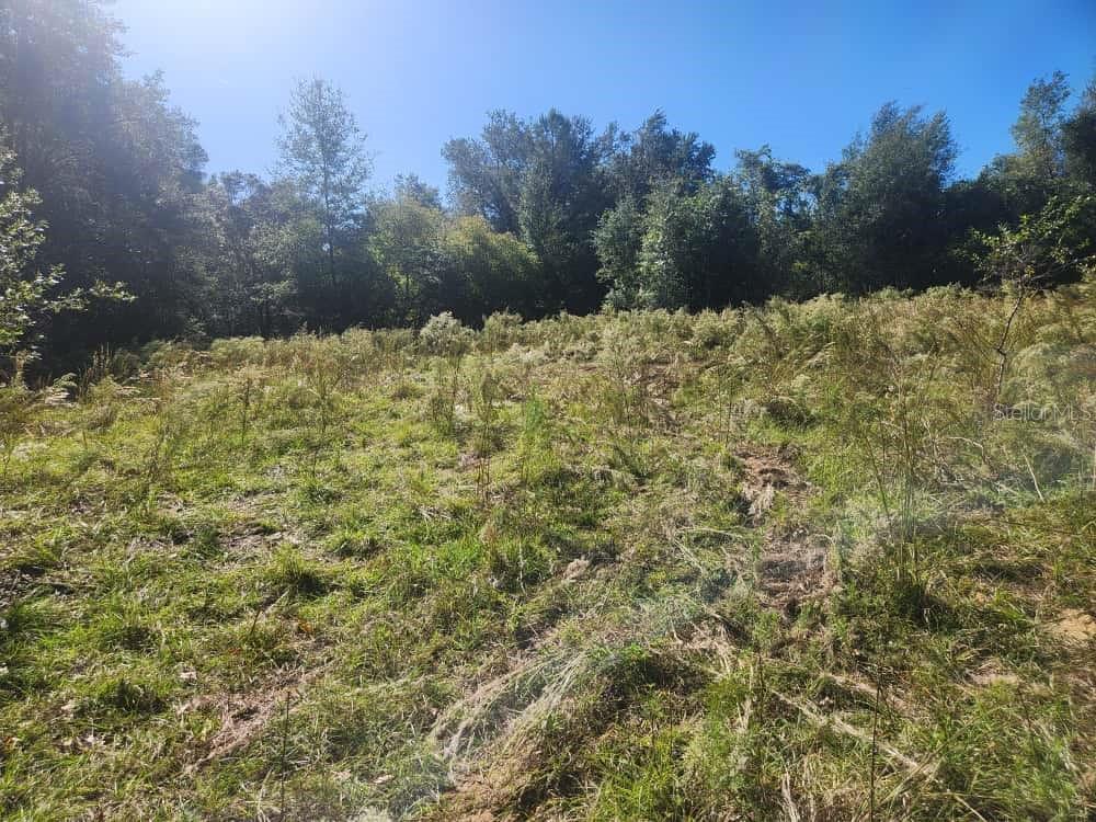 INVERNESS ACRES UNIT 02 AKA INVERNESS VILLAGE - Land