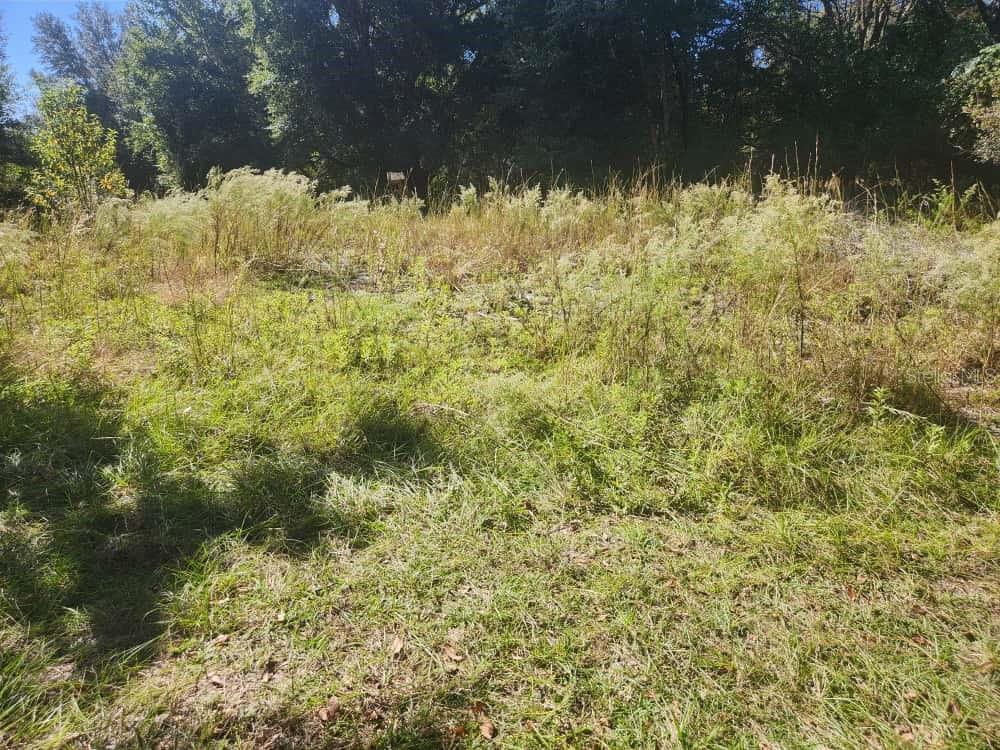 INVERNESS ACRES UNIT 02 AKA INVERNESS VILLAGE - Land