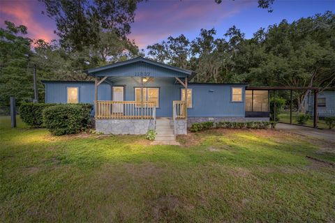 A home in BELLEVIEW