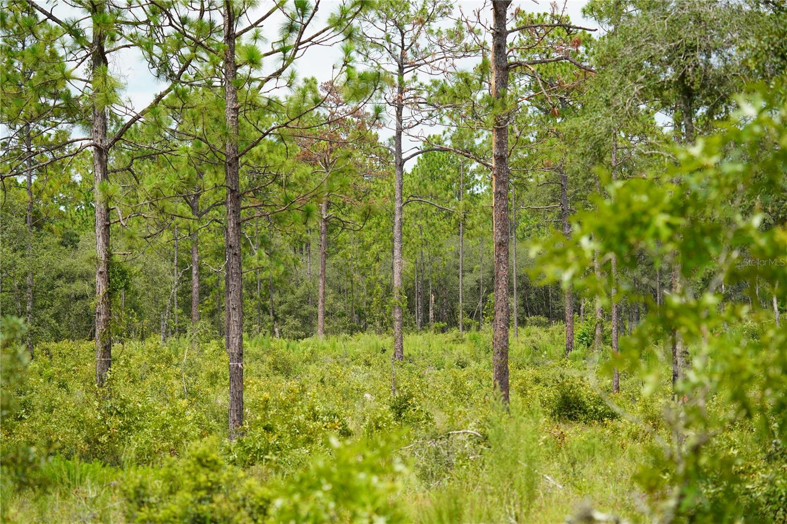 SE STATE ROAD 121 LOT D