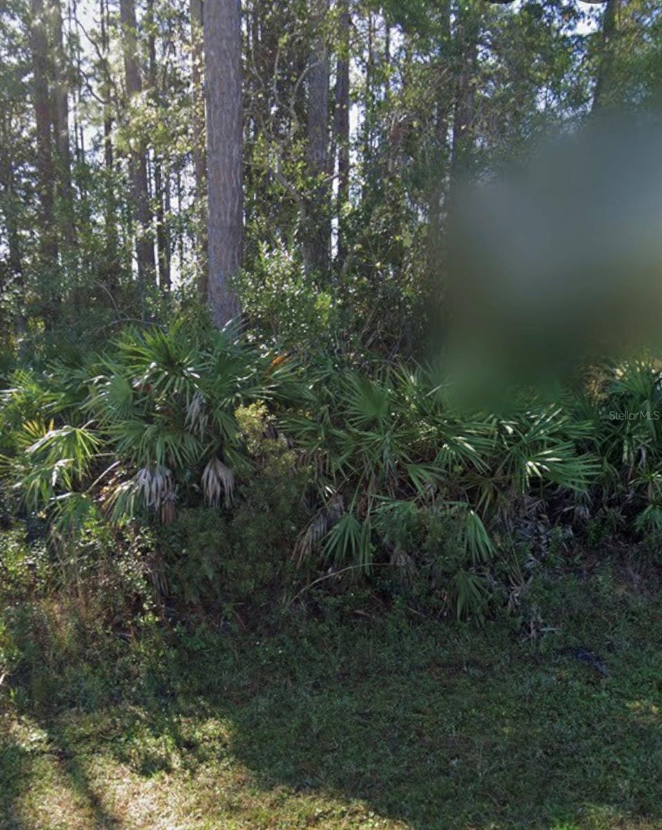 Photo of 31 Red Clover Lane, Palm Coast, FL 32164 (MLS # FC319616)