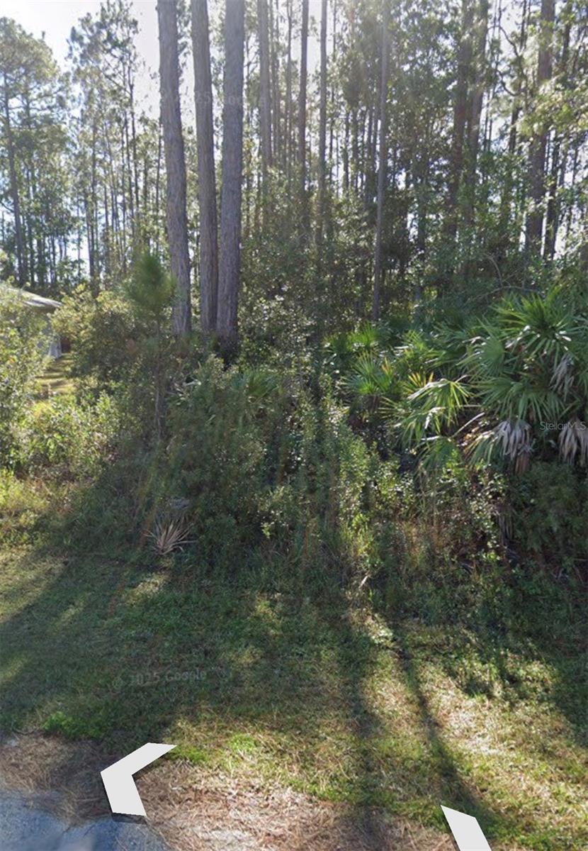 Photo of 31 Red Clover Lane, Palm Coast, FL 32164 (MLS # FC319616)