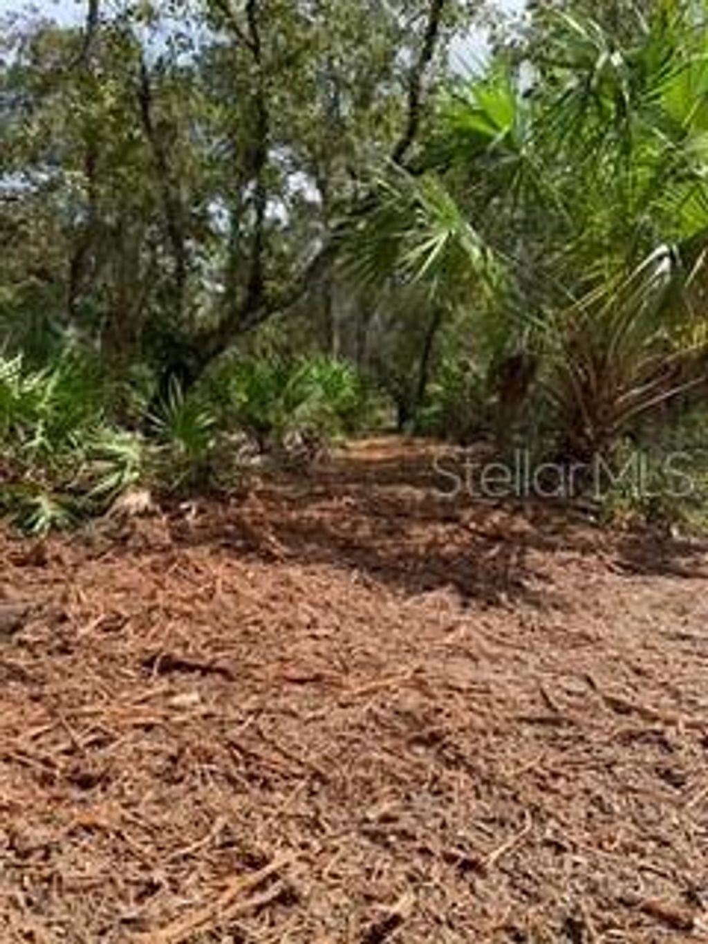 Photo of 18429 Retriever Road, Weeki Wachee, FL 34614 (MLS # TB8408997)