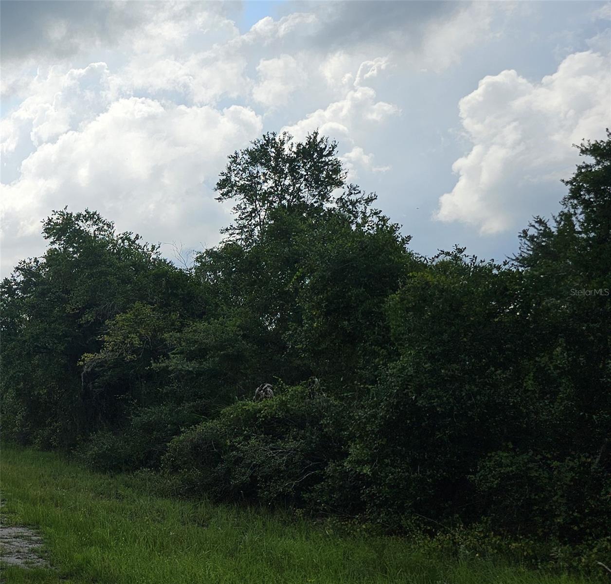 Build your dream home, amenities near by