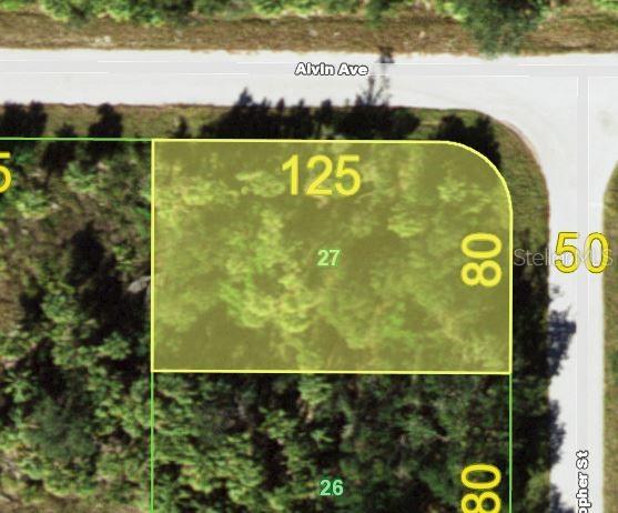 Discover the perfect opportunity to build your dream home or invest in growing Port Charlotte with this vacant residential lot located at 17061 Alvin Ave. Nestled in a quiet neighborhood, this property offers the ideal balance of privacy and convenience. You’ll enjoy easy access to US-41, I-75, local shopping, dining, golf courses, and the beautiful Gulf beaches. Power lines do not pass by the property and the property will need a well and septic tank.