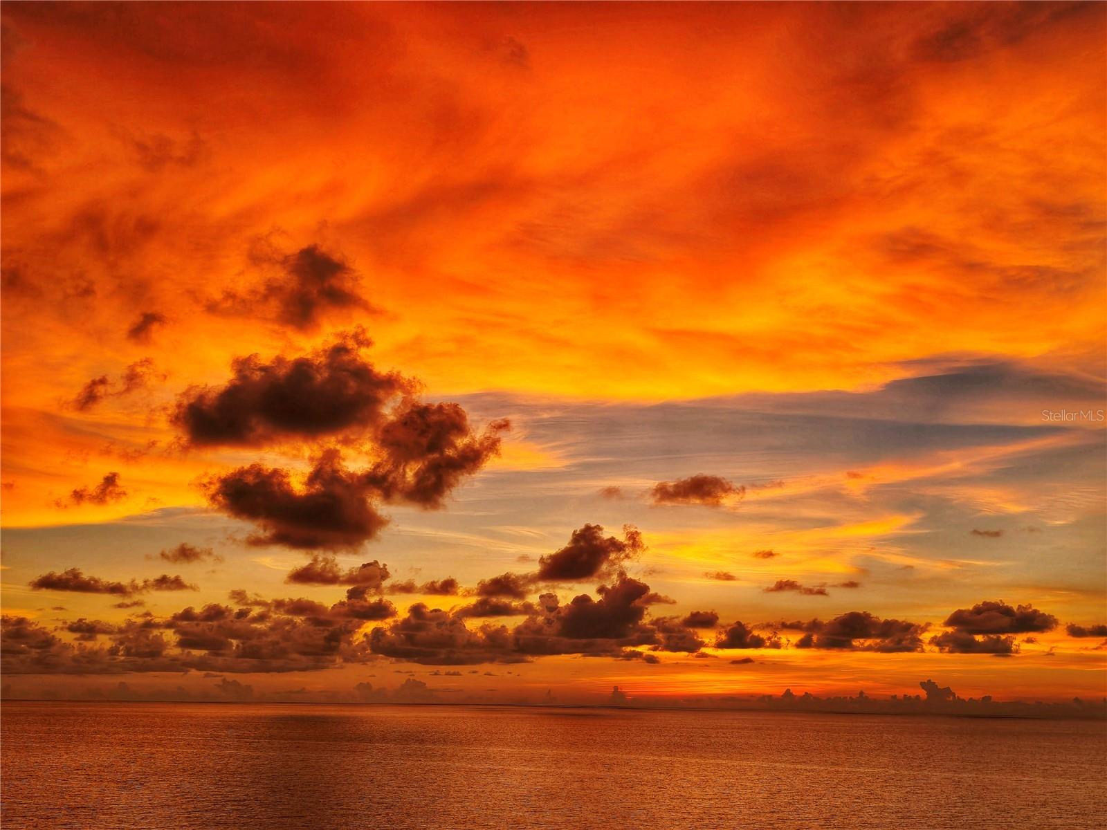 SEA BREEZE OF MADEIRA CONDO - Residential