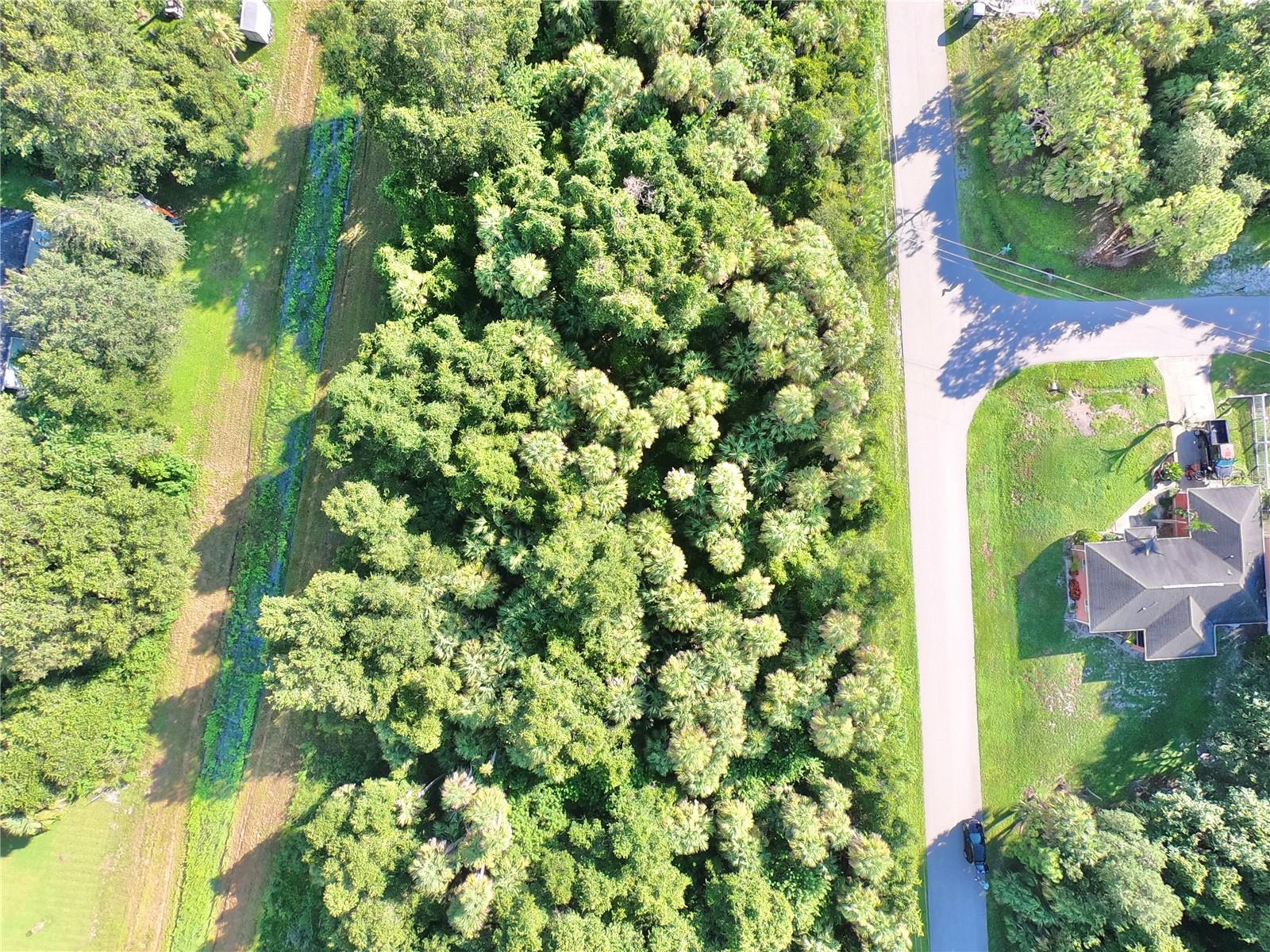 PORT CHARLOTTE SUB 22 - Land