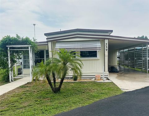 239 RUE DE FONTAINE TAVARES FL 32778