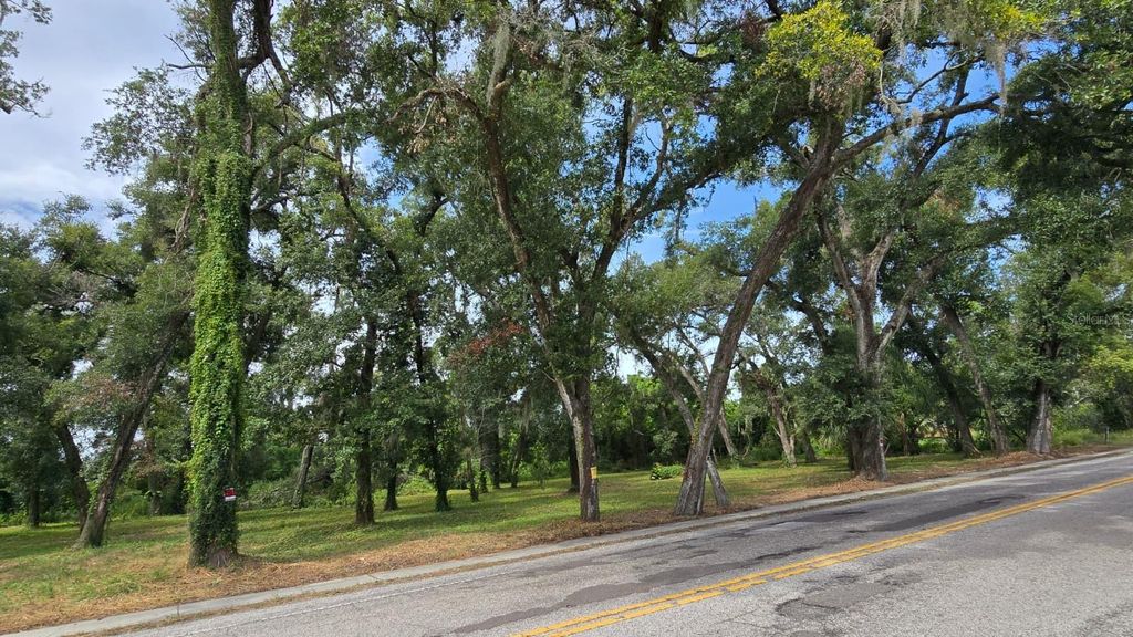 Photo of 712 Lithia Pinecrest Road, Brandon, FL 33511 (MLS # TB8416731)