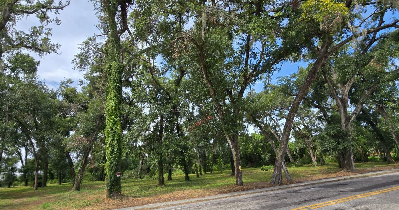 712 LITHIA PINECREST ROAD