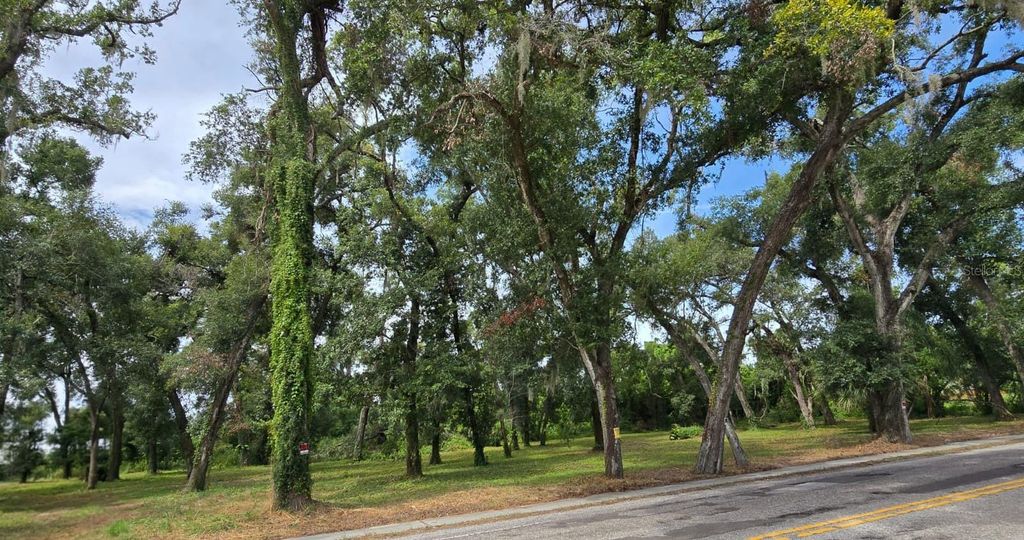 Photo of 712 Lithia Pinecrest Road, Brandon, FL 33511 (MLS # TB8416731)