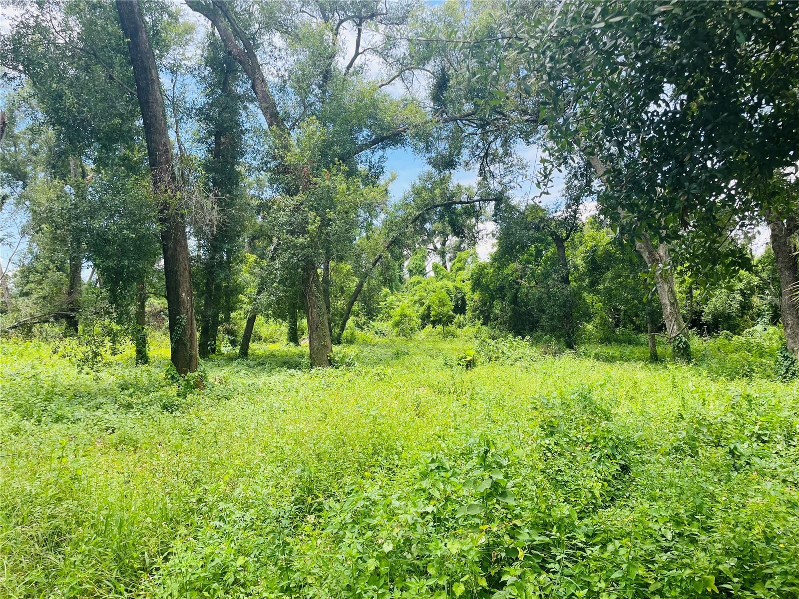 712 LITHIA PINECREST ROAD