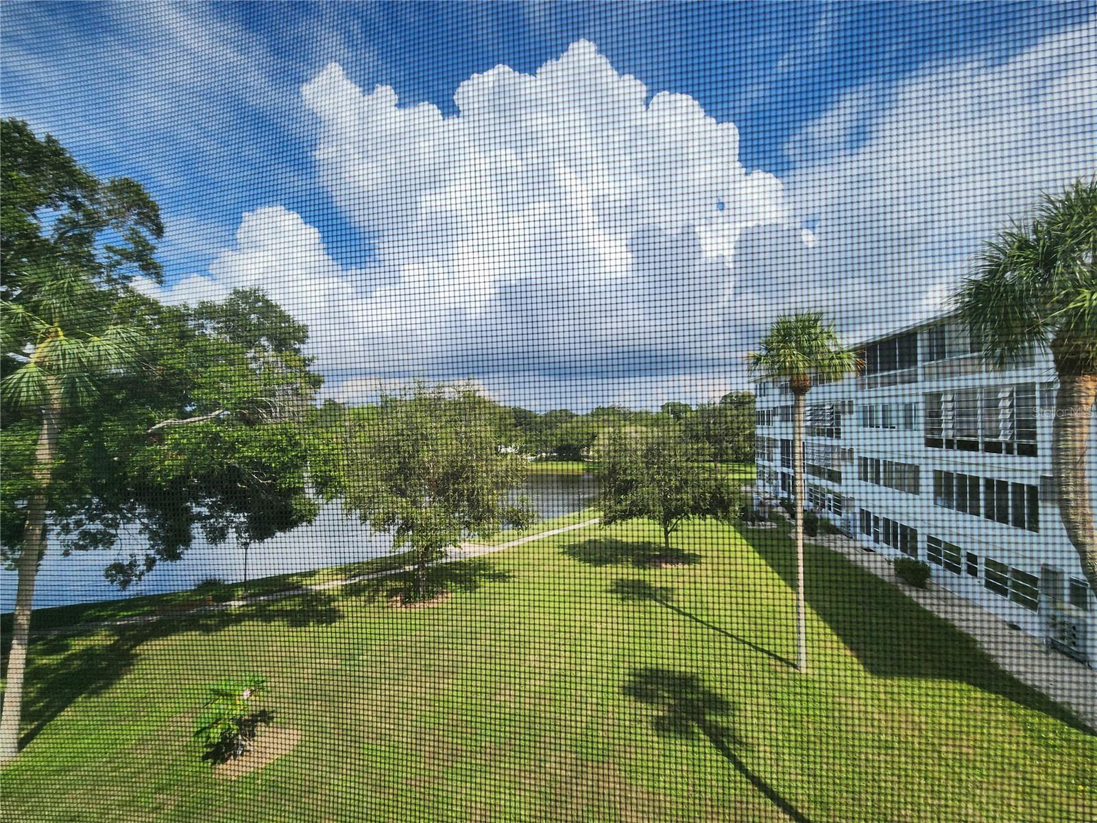 SEMINOLE GARDEN APTS CO-OP - Residential Lease