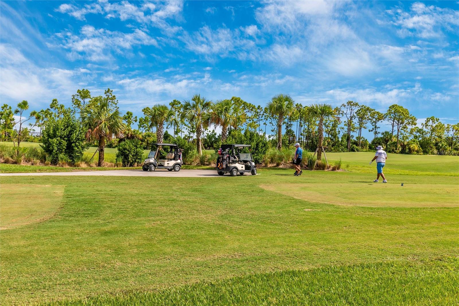 WELLEN PARK GOLF & COUNTRY CLUB - Residential