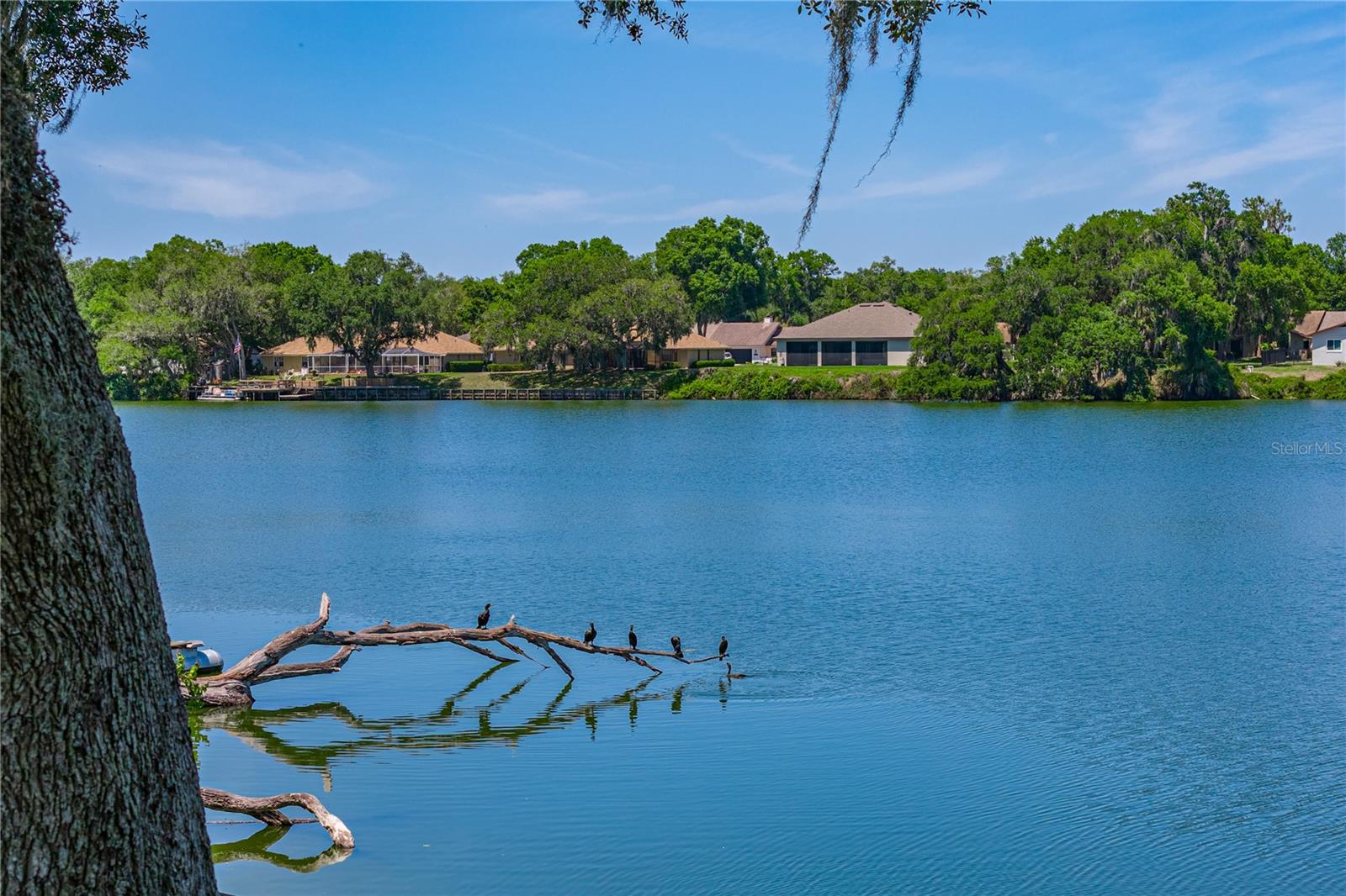 BLACKWATER OAKS - Residential