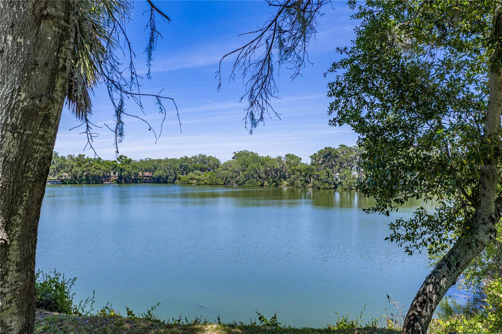 BLACKWATER OAKS - Residential