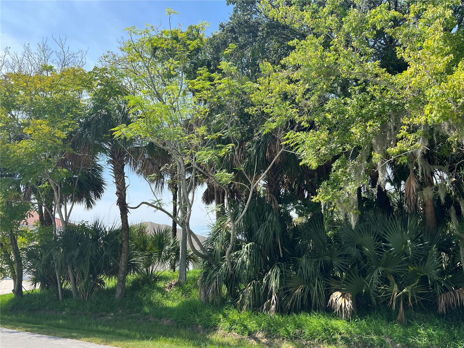 111 CIMMARON DRIVE
